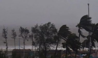 নাগাল্যান্ডে নিরাপত্তা বাহিনীর ‘ভুল’ অভিযানে সেনাসহ নিহত ১৪