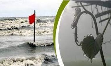 নামলো সতর্ক সংকেত, তাপমাত্রা কমে জেঁকে বসবে শীত