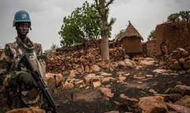 মালিতে জাতিসংঘের ৭ শান্তিরক্ষী নিহত