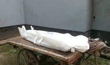 গৌরীপুরে ফার্নিচার ব্যবসায়ীর ছুরিকাঘাতে ক্রেতা নিহত