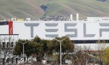  যৌন হয়রানির অভিযোগে ইলন মাস্কের প্রতিষ্ঠানের বিরুদ্ধে মামলা