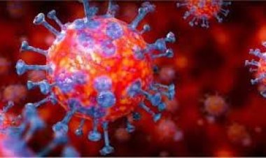 করোনা আক্রান্ত হলেন কানাডার পররাষ্ট্রমন্ত্রী