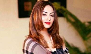  তমা মির্জাকে মারধর: স্বামীর বিরুদ্ধে প্রতিবেদন ৫ জানুয়ারি