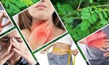 এক পাতায় ৩০০ রোগের সমাধান