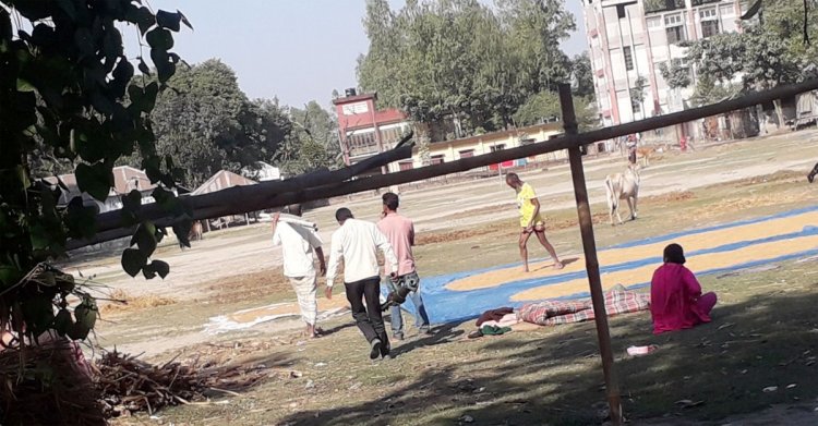 ভোট না দেওয়ায় টিউবওয়েল তুলে নিলেন নবনির্বাচিত চেয়ারম্যান