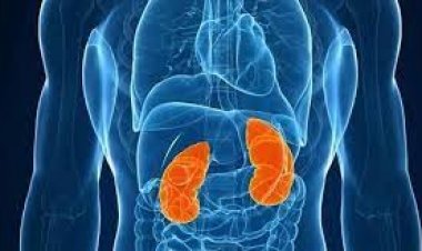 যে কারণে হঠাৎ কিডনি বিকল হতে পারে