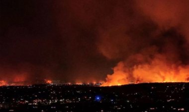 কলোরাডোতে দাবানলে পুড়েছে ১ হাজার বাড়িঘর