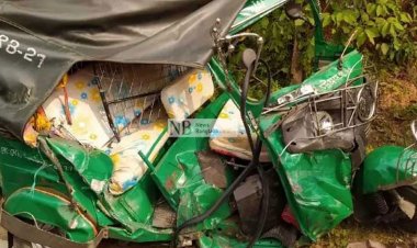 বিআরটিসি বাসের ধাক্কায় শাশুড়ি-জামাতা নিহত