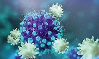 দেশে ওমিক্রনে আক্রান্ত আরো ১০ রোগী শনাক্ত