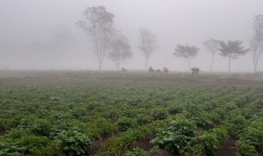 দেশের মধ্যে সর্বনিম্ন তাপমাত্রায় কাঁপছে পঞ্চগড়