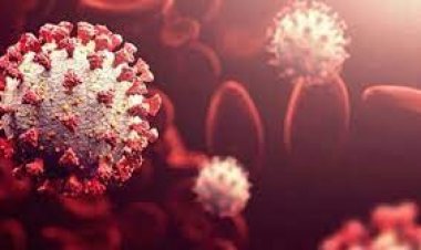 কয়েক সপ্তাহের মধ্যেই ওমিক্রনে আক্রান্ত হবে ইউরোপের অর্ধেক মানুষ’