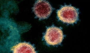  ভ্যাকসিন না নেওয়াদের জন্য কতটা বিপজ্জনক ওমিক্রন?