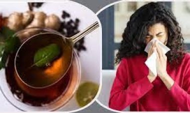 সর্দি-কাশি সারাবে তুলসির জাদুকরী পানীয়