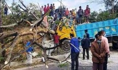 গাছে নিয়ন্ত্রণহীন ট্রাকের ধাক্কায় বাবা-ছেলে নিহত