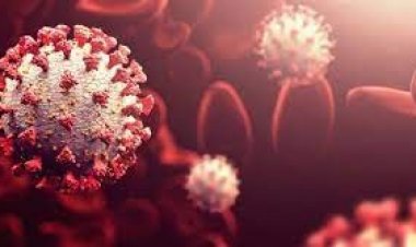 করোনা ঠেকাতে জাতীয় কমিটির নতুন ৫ পরামর্শ