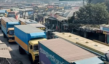 ফেরি সংকটে ভুগছে দৌলতদিয়া ঘাট, ভোগান্তি চরমে 