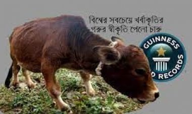 রানীর পর গিনেস বুকে চারু
