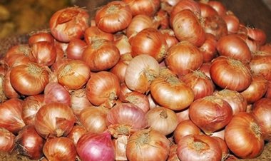 ঊর্ধ্বমুখী দেশি পেঁয়াজের বাজার