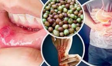 কুল খেলে শরীরে যা ঘটে