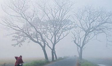মৌসুমের সর্বনিম্ন তাপমাত্রা তেঁতুলিয়ায় ৬ ডিগ্রি সেলসিয়াস