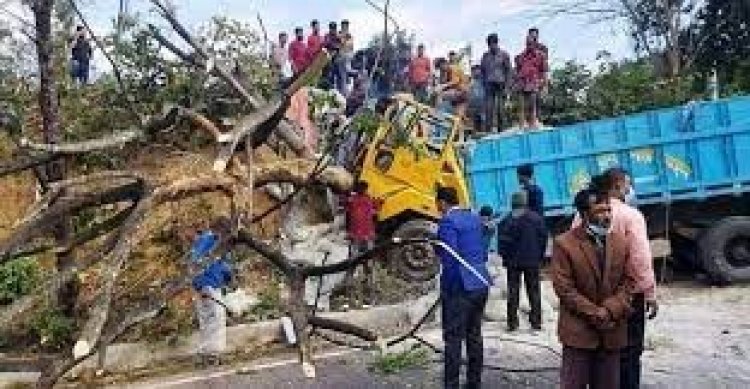 গাছে নিয়ন্ত্রণহীন ট্রাকের ধাক্কায় বাবা-ছেলে নিহত