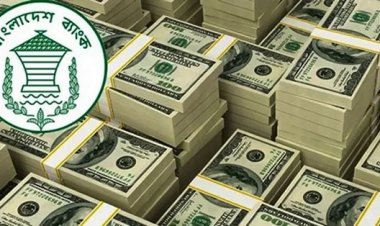 প্রবাসী আয় চার মাসের সর্বোচ্চে