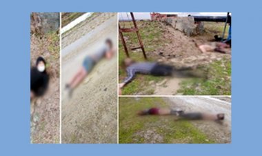 তুরস্ক-গ্রিস সীমান্তে ঠাণ্ডায় ১৯ অভিবাসীর মৃত্যু, খোঁজ নেই অনেক বাংলাদেশির