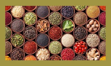 মসলা চাষ শিখতে তৃতীয় দফায় বিদেশ যাচ্ছেন ২০ কর্মকর্তা