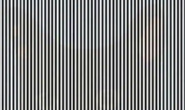 সাদা-কালো দাগের মধ্যে রয়েছে  কোনও প্রাণী ,দেখতে পাচ্ছেন কি?