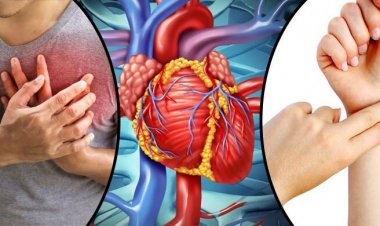 হার্টবিট গুনেই বুঝে নিন শরীরের সুস্থতা