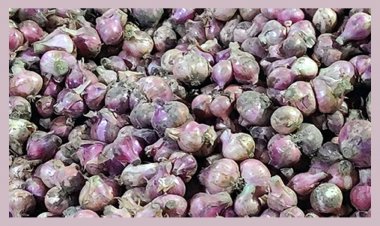 পেঁয়াজের দাম কেজিতে বেড়েছে ২৫ টাকা