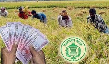 ঋণ পৌঁছে যাবে কৃষকের ঘরে, সুদহার ১১ শতাংশ