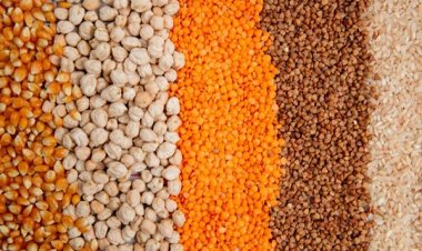 কয়েক বছরের সর্বোচ্চে খাদ্যপণ্যের দাম