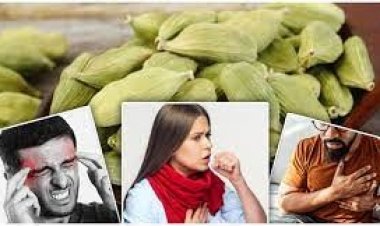 খালি পেটে একটি এলাচ খেলে শরীরে যা ঘটে