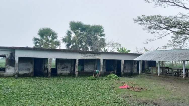 সমনডাঙা সরকারি প্রাথমিক বিদ্যালয় নয়, যেন ডোবা