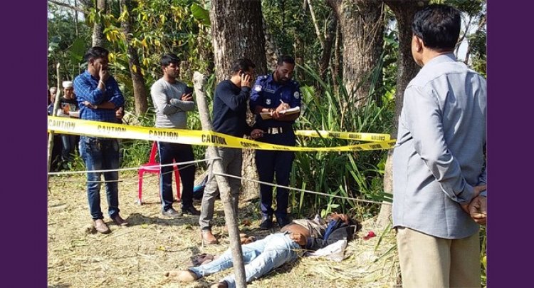 ভাণ্ডারিয়ায় ধান ক্ষেতে মিলল যুবকের লাশ