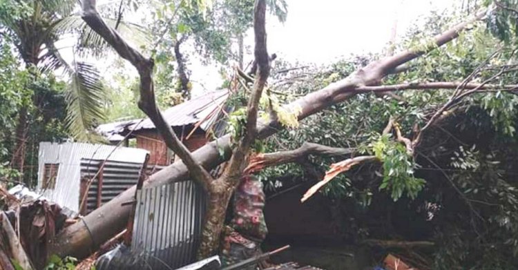 লালমনিরহাটে ঝড়-শিলাবৃষ্টিতে বাড়িঘর লন্ডভন্ড