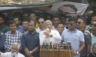 সরকার দেশে রাজতন্ত্র প্রতিষ্ঠার চক্রান্ত করছে: মির্জা ফখরুল