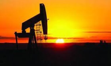 ১৩ বছরের মধ্যে সর্বোচ্চ তেলের দাম বিশ্ববাজারে