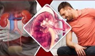 কিডনির রোগ প্রতিরোধে যা করা জরুরি