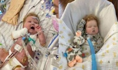 অভিনব পদ্ধতিতে ছ’মাসের শিশুর শরীরে হার্ট প্রতিস্থাপন, নজির গড়লেন গবেষকরা