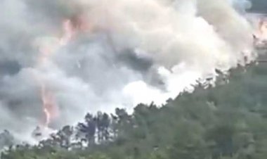  চীনের সেই বিধ্বস্ত প্লেনের কোনো আরোহীই বেঁচে নেই