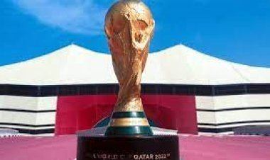 কাতার বিশ্বকাপে খেলার যোগ্যতা অর্জন করেছে যে সব দেশ