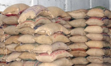 চাল নিয়ে সিন্ডিকেটের ‘চালবাজি’