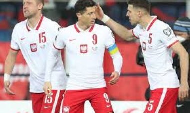  সুইডেনকে হারিয়ে বিশ্বকাপে পোল্যান্ড