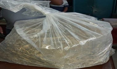 কাফরুল ও কদমতলীতে গাঁজাসহ গ্রেফতার ২