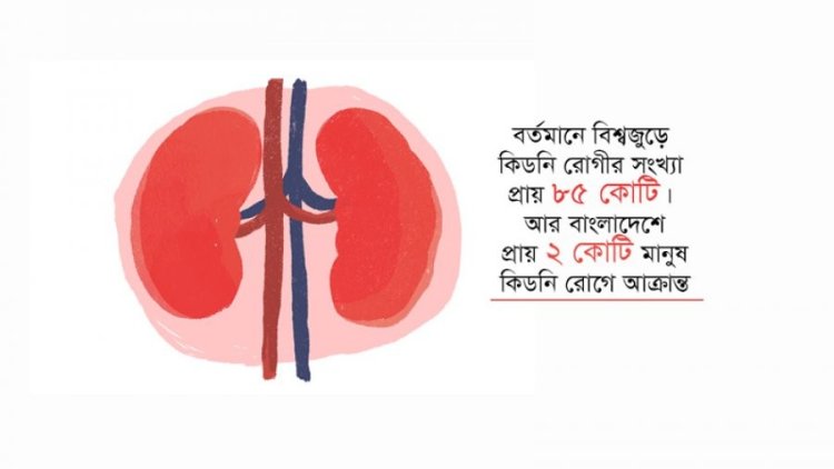 আজ বিশ্ব কিডনি দিবস: অপ্রতুল ও ব্যয়বহুল ব্যবস্থাই কিডনি চিকিৎসার বড় অন্তরায়