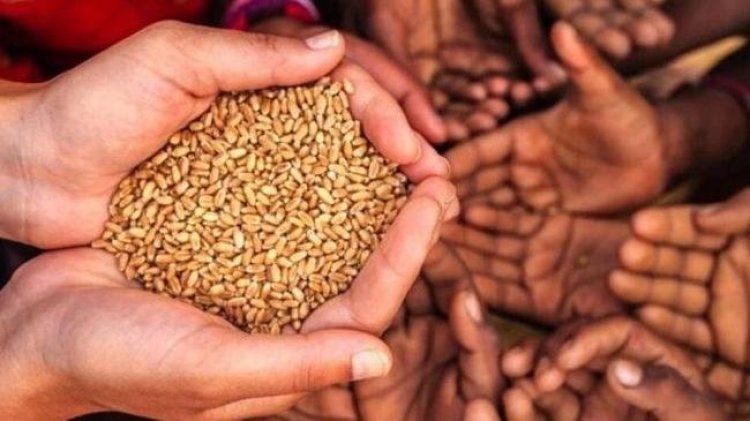 ইউক্রেন যুদ্ধে খাদ্য সংকটের মুখোমুখি বিশ্ব