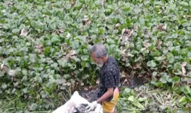 নিখোঁজের আড়াই মাস পর যুবকের লাশ মিলল নদীতে