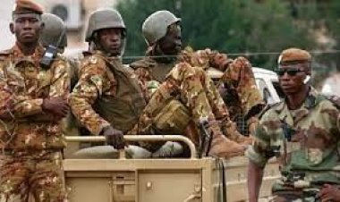 মালিতে সামরিক অভিযানে নিহত ২০৩